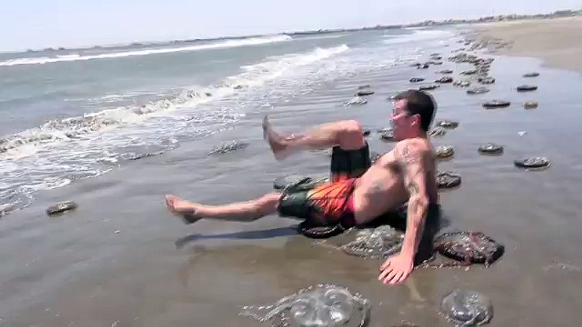Peruvian Jellyfish Stunt - Steve-O - YouTube