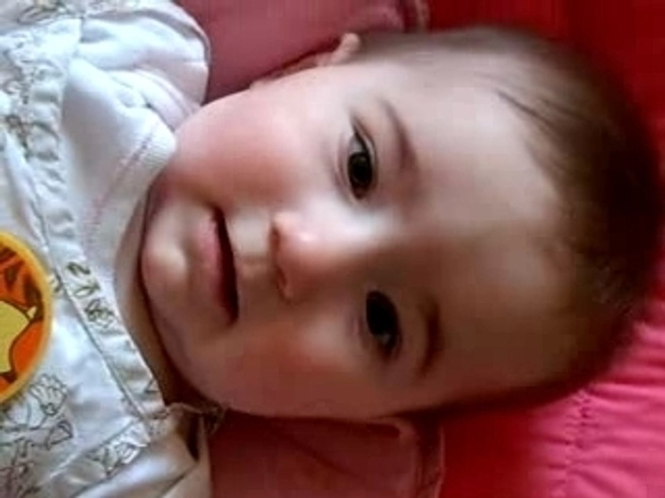 lily