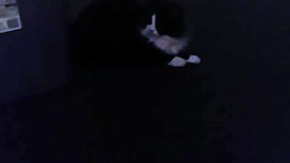 Cat catches mouse, makes everyone panic.