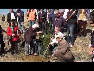 1  AĞAÇ DİKİMİ HAZIR