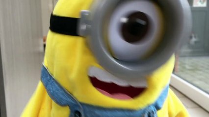 Funny Dogs VS Tumblin Stuart The Minion!