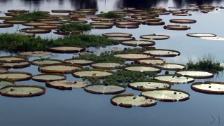 Animal Documental 2016| Secretos de nuestro Planeta Vivo :Waterworlds - 2016