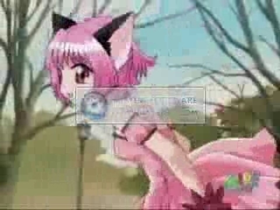 Opening Mew Mew's Rapide Speed