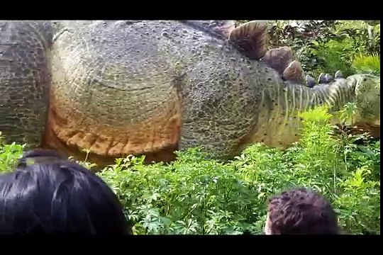 JURASSIC Parc River Adventure 2016 Onride POV - Universal Studios Resort Orlando