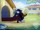 Tom and Jerry Greatest Chases Volume 3 Dog Chase