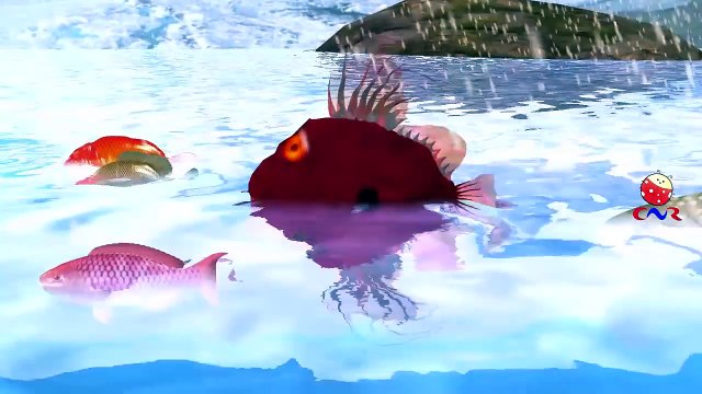 Finger Family Nursery Rhymes for Children Fish Cartoons | Fish Finger Family Children Nurs