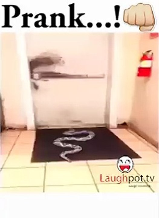 prank...!hhhhhh