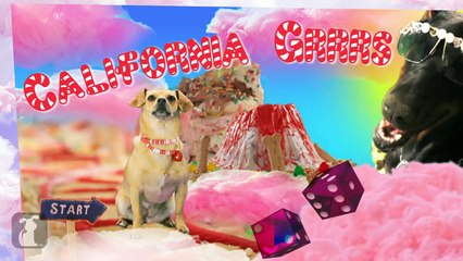 Katy Perry - California Gurls (ft Snoop Dog) - Katy Puppy - California Grrrs - Wide Awoof - Petody