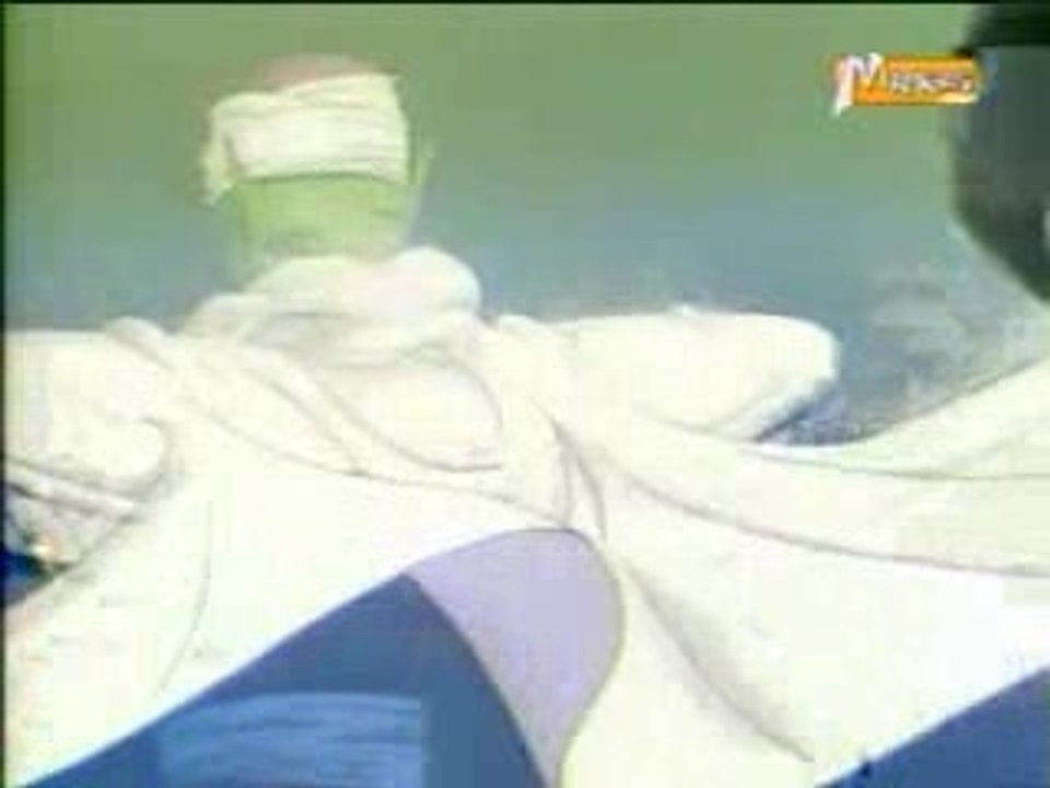 Generique de fin pour dbz