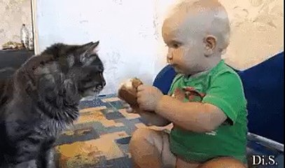 вместе вкуснее