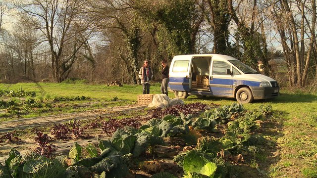 Mangeons local dans le Gard ! (1/2)