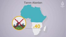 Türkiye Afrika'ya ne kadar açılıyor?