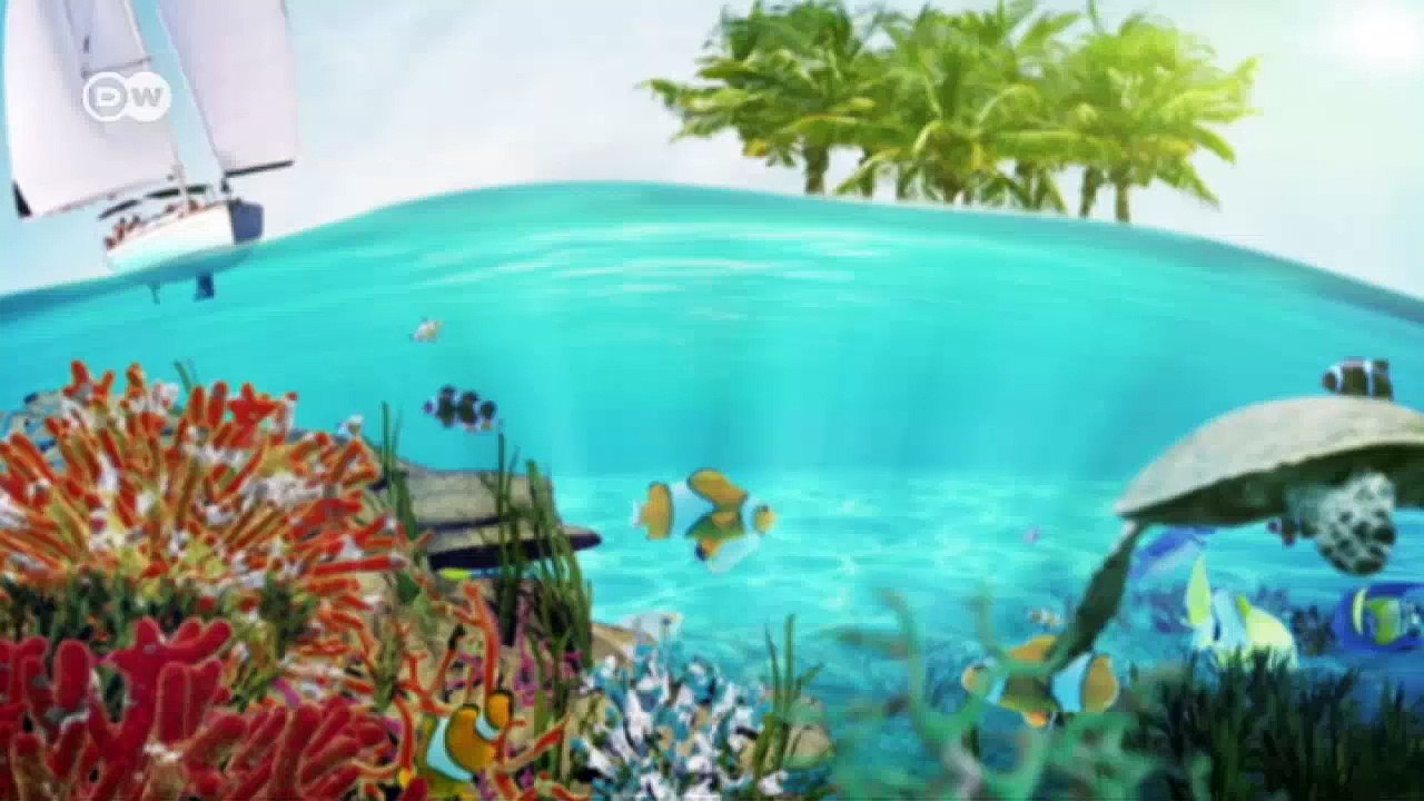 Besuch im schildkrötendorf | global 3000