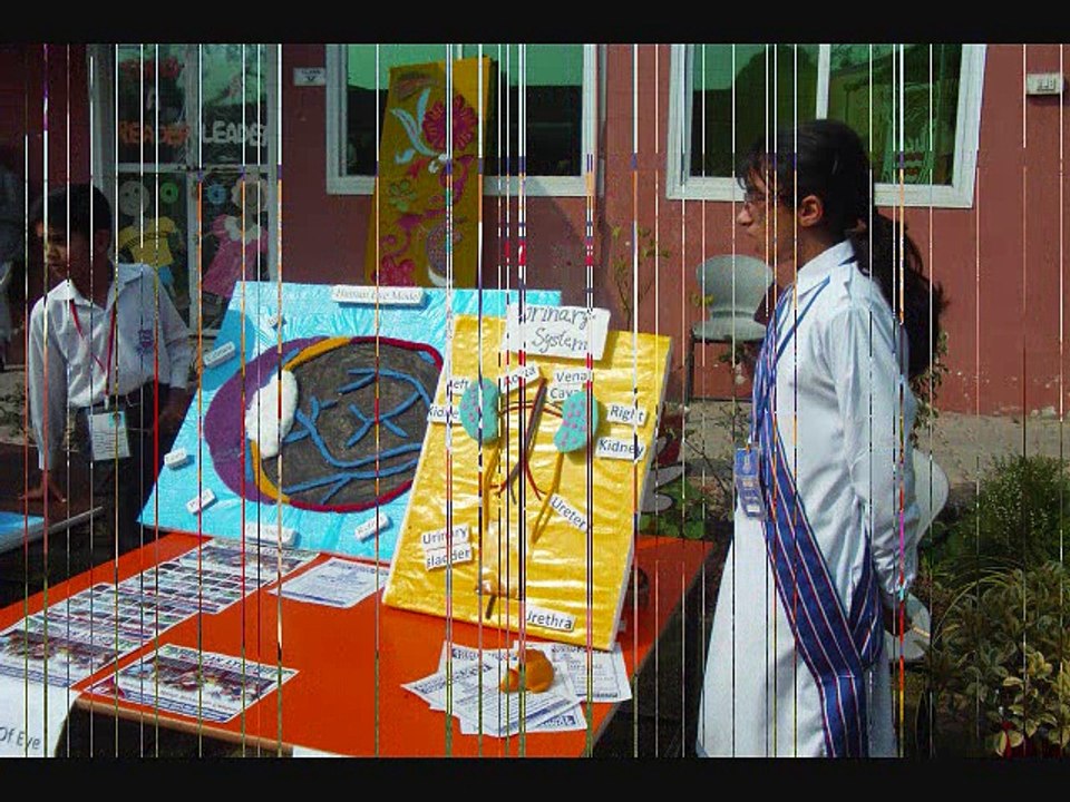 American Lycetuff School (ALS) M.B.Din hold an Arts & Science Festival. Watch the Brilliant work of Students & Teachers.