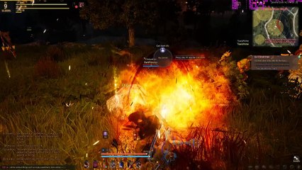 Black Desert Gameplay