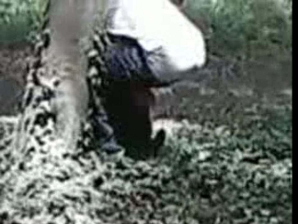 Yan fait caca ds la foret