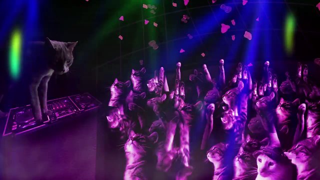 Meow Mix Song | EDM Cat Remix by Ashworth