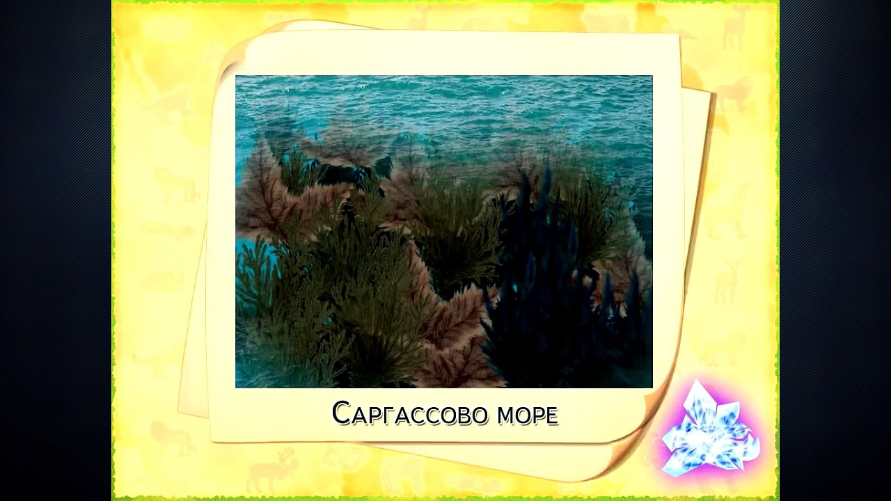 Изучаем моря и океаны. Развивающий ролик для детей дошкольного возраста