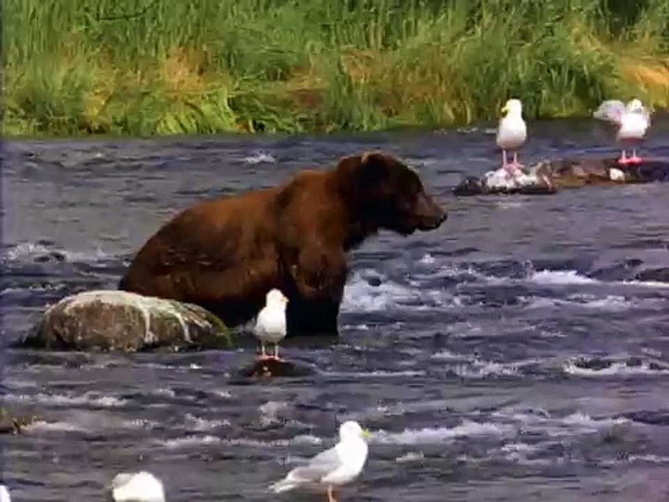 tape tape dans tes mains