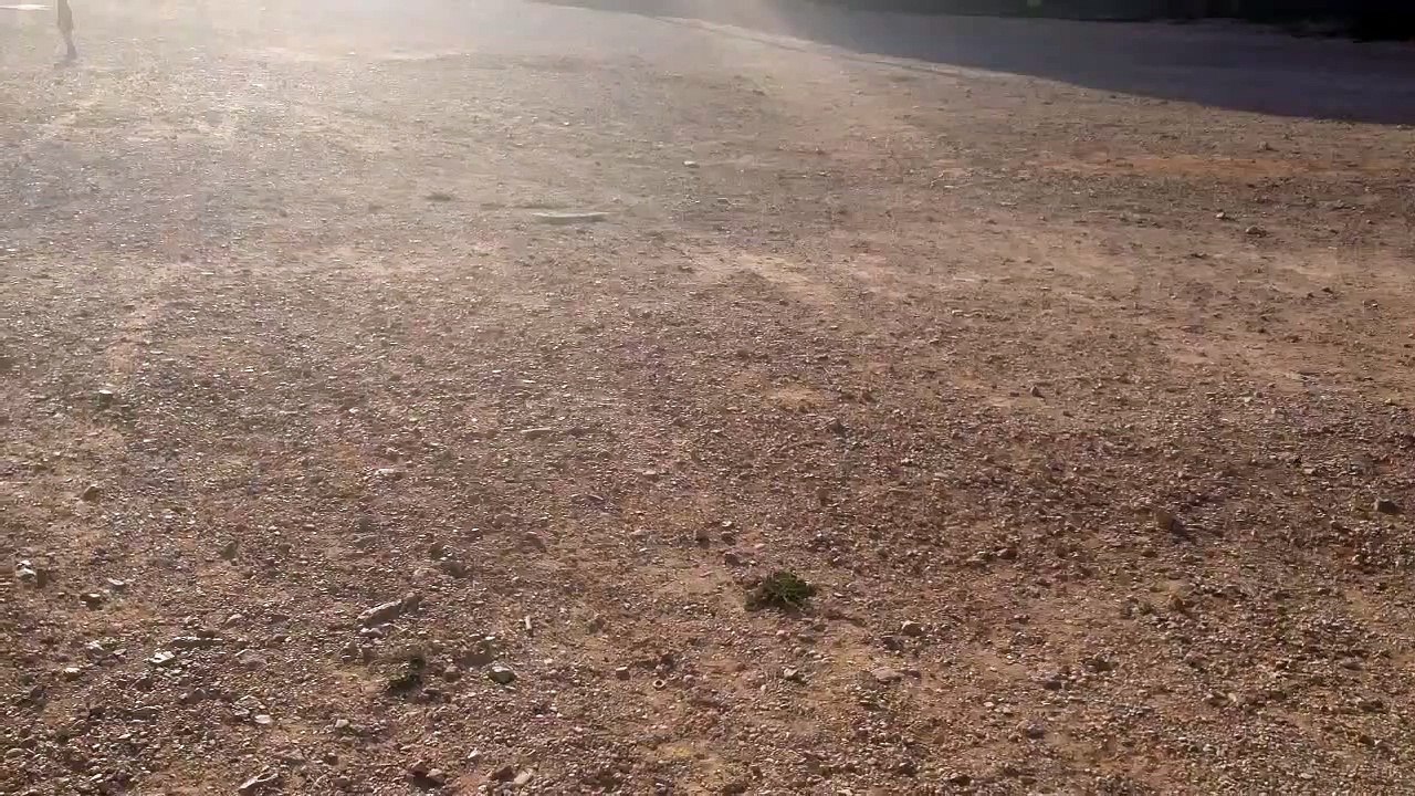 Un Monstre a la llacuna.