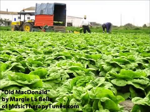 Old MacDonald Had A Farm Nursery Rhymes for Children Kids Songs Baby Songs ABC Songs