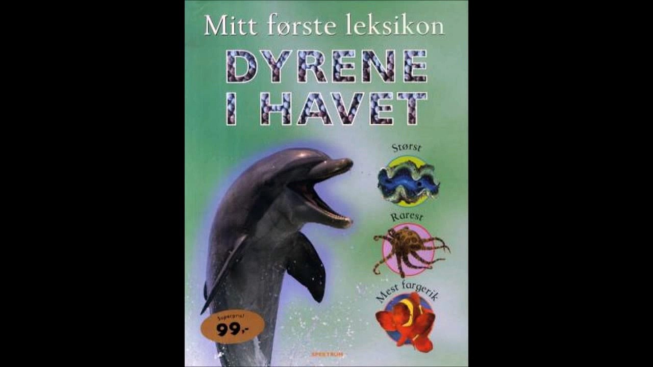 Dyrene i havet - Sally Morgan