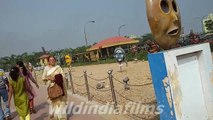 Mask Garden - Eco Tourism Park  Kolkata , West Bengal