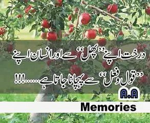 Kitab E Zindagi By Abid Afzal Majaaz