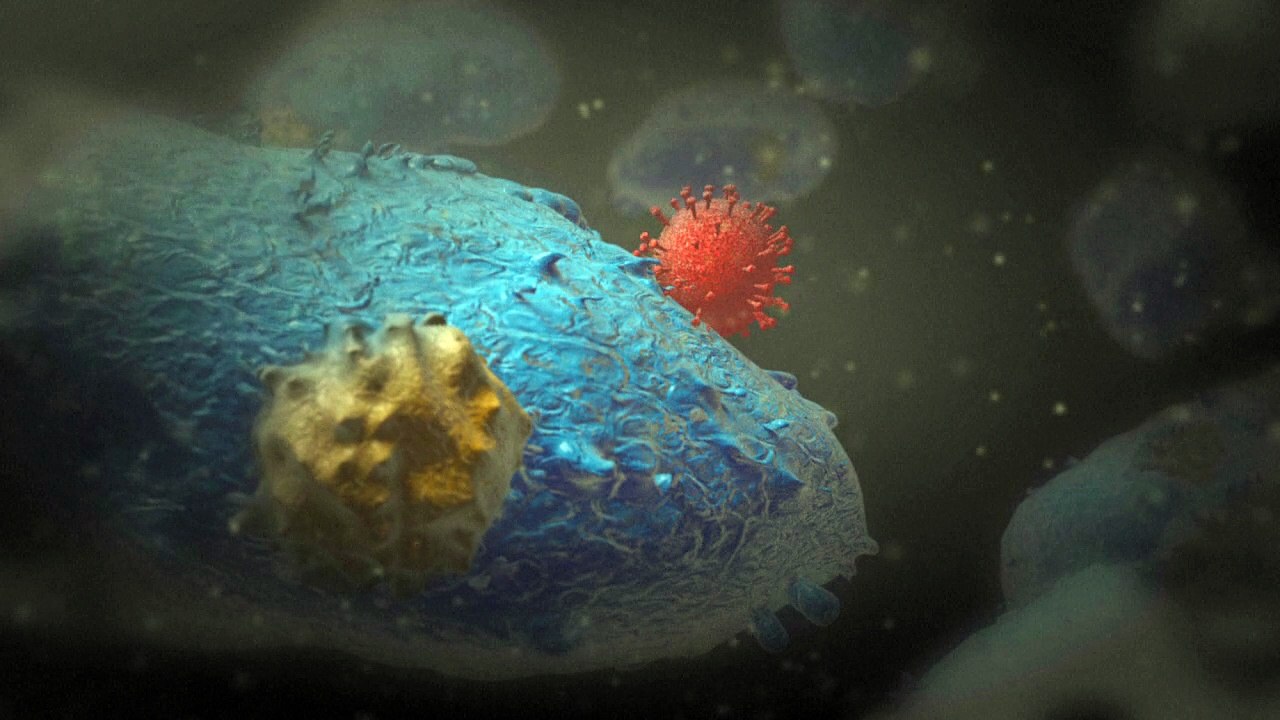 How Ebola attacks the body