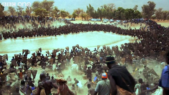 Un lac vidé de ses poissons en quelques minutes par des centaines de personnes dans un désert en Afrique