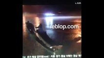 FOOTAGE EunB & Rise Ladies Code Dies In Car Crash Accident  Dead Body REBLOP.com