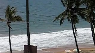 Lobster Pot Beach Kerala