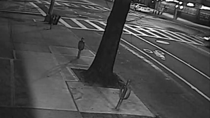 Fatal Park Slope hit and run