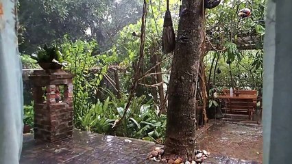 Sunday afternoon storm