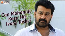 Can Mohanlal Keep His Ivory Tusks? || Malayalam Focus