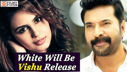 White Malayalam Movie Will Be Vishu Release || Malayalm Focus