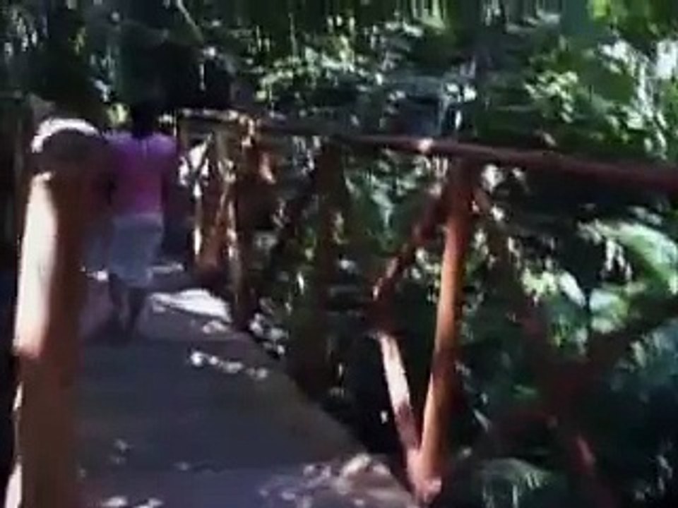 Avestruz en el zoológico