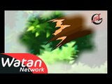 برنامج الأطفال قصص من الغابة ـ الحلقة 2 الثانية كاملة HD