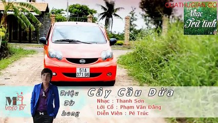 Tân cây cầu dừa
