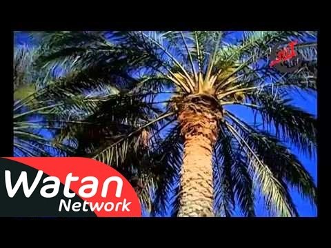 السلسلة الوثائقية نساء عصر النبوة ـ الحلقة 13 الثالثة عشر كاملة HD