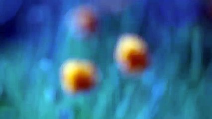 kiss prank funny sexy (Funny Videos 720p)