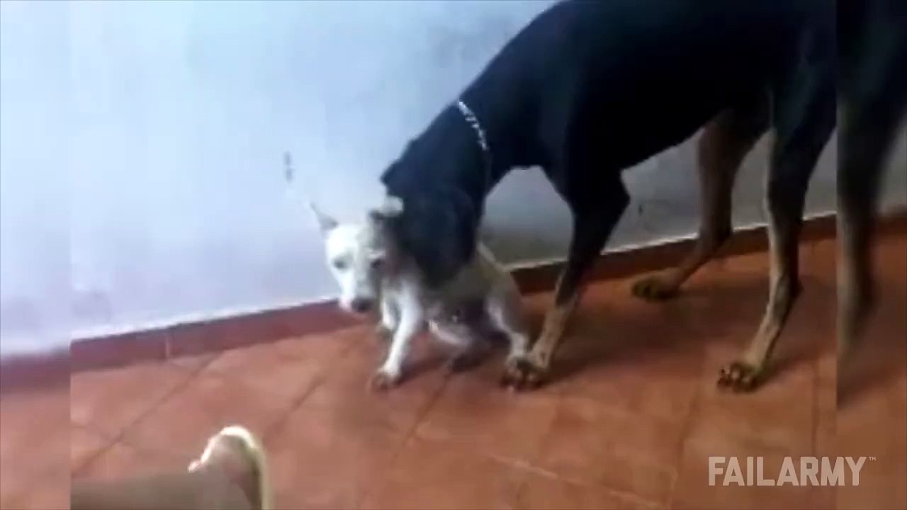 When a couple just doesn't fit.