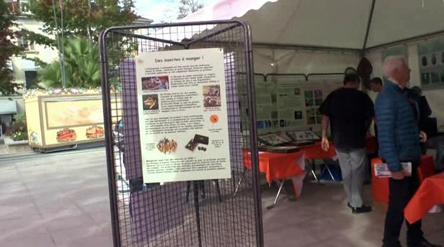 LES W-D.D. MICHOU NEWS - 11 OCTOBRRE 2015 - PAU - LES JOURNÉES DE LA SCIENCE N° 4 AVEC LE GEPO64.