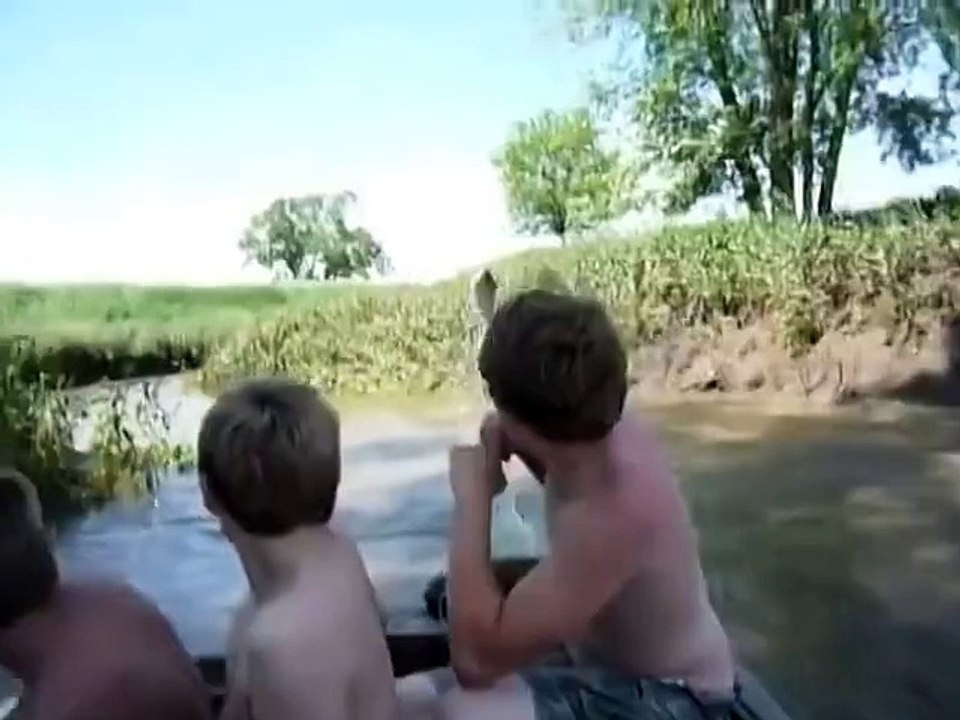 Jumping fishes around the green lake