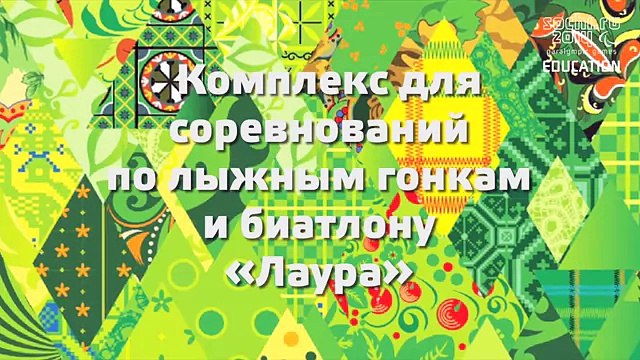 Паралимпийские виды спорта- биатлон и лыжные гонки