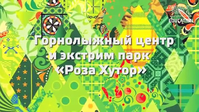 Паралимпийские виды спорта горнолыжный спорт Сочи 2014