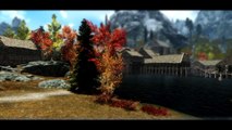TES V Skyrim Mods: Skyrim Winter Overhaul by AceeQ