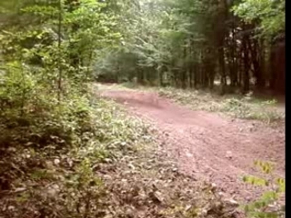 motocross5