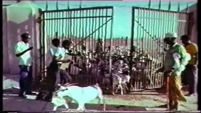 Somali Music Somaliyey War Hoo Song by ☆Jooqle, Amina Dhool, Kaltun and Hussein Shire☆