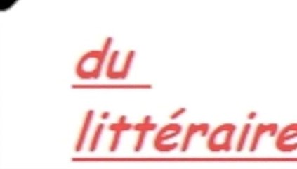 Conférence animée par Anne ARMAND sur les problématiques de le lecture en LP